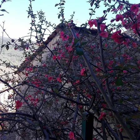 Casa Carla Holiday home *